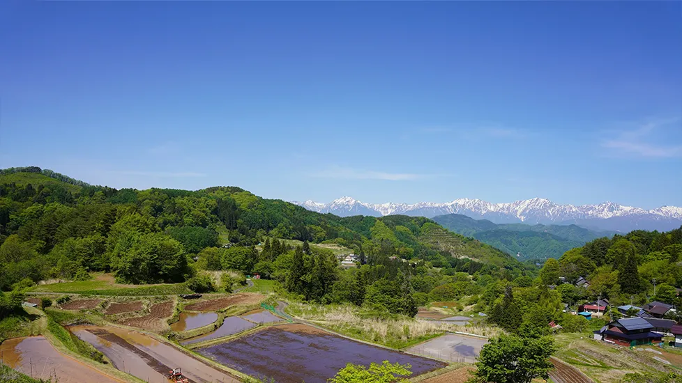 里山の風景