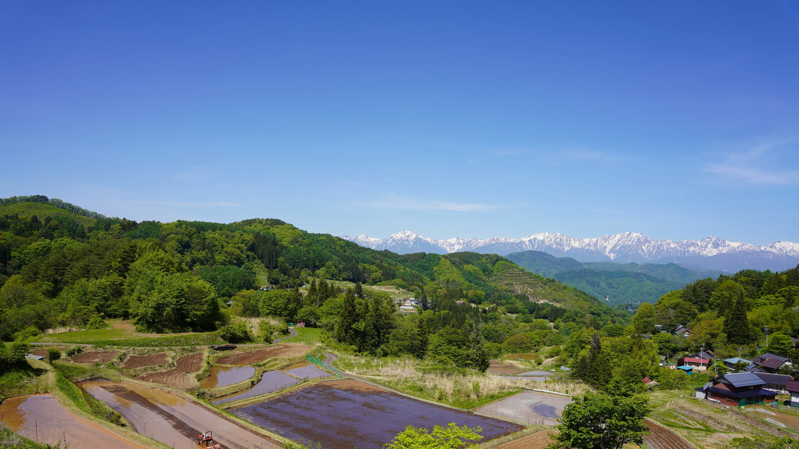 里山の風景
